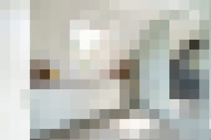 Staaldiep 4 Brielle thumbnail 27