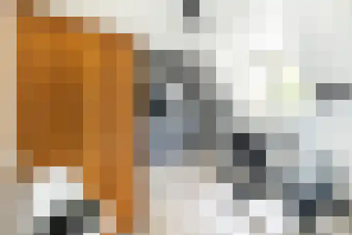 Staaldiep 4 Brielle thumbnail 29