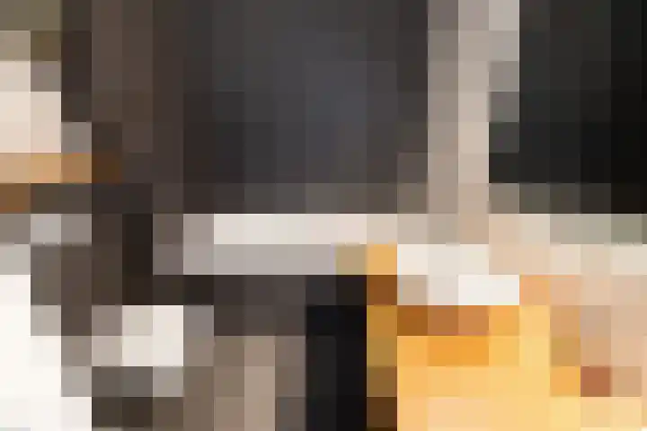 Staaldiep 4 Brielle thumbnail 31