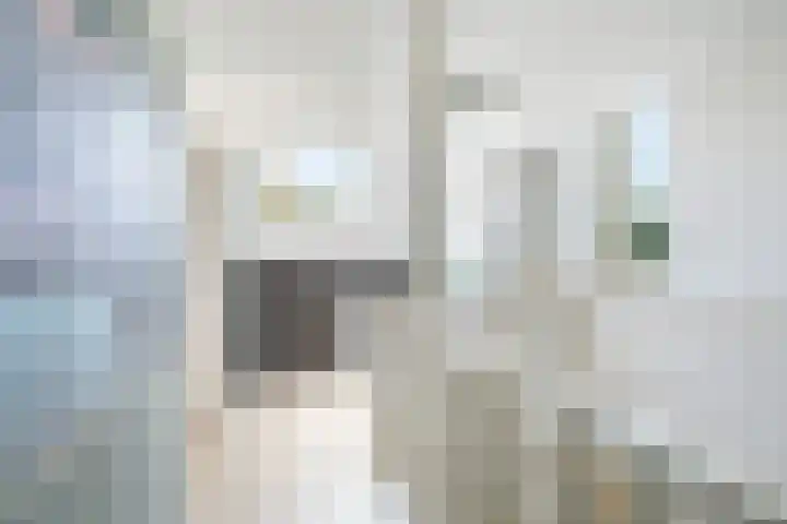 Staaldiep 4 Brielle thumbnail 33