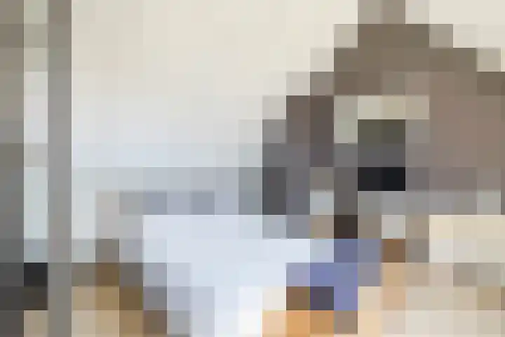 Staaldiep 4 Brielle thumbnail 35