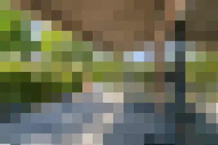 Staaldiep 4 Brielle thumbnail 38