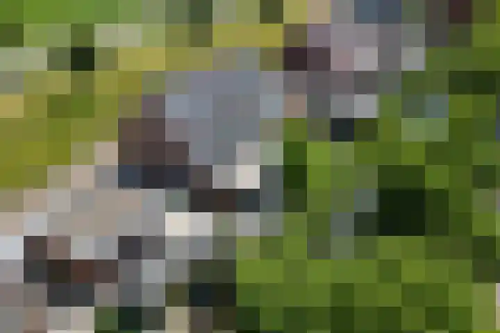 Staaldiep 4 Brielle thumbnail 4