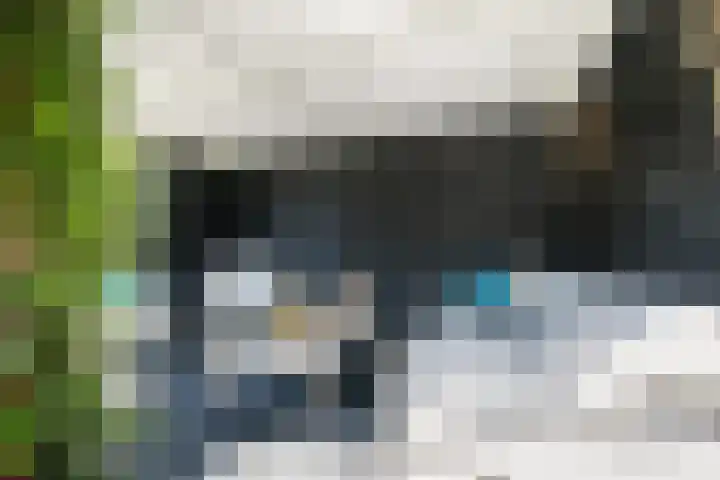 Staaldiep 4 Brielle thumbnail 42