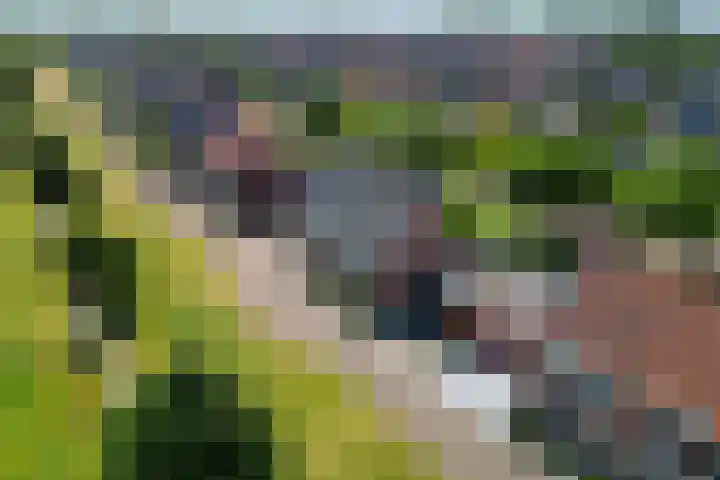 Staaldiep 4 Brielle thumbnail 52