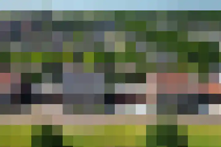 Staaldiep 4 Brielle thumbnail 53
