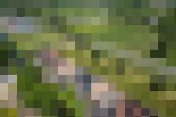 Staaldiep 4 Brielle thumbnail 57