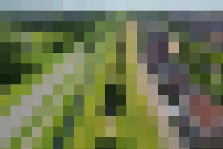 Staaldiep 4 Brielle thumbnail 58