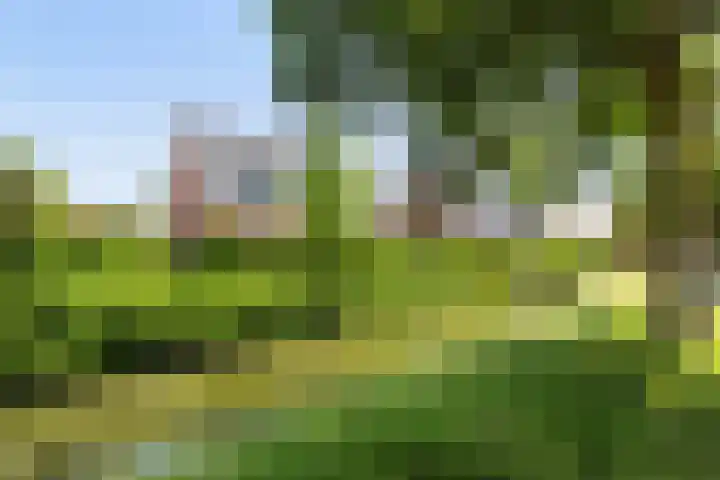 Staaldiep 4 Brielle thumbnail 59