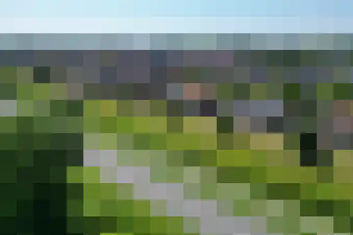 Staaldiep 4 Brielle thumbnail 61