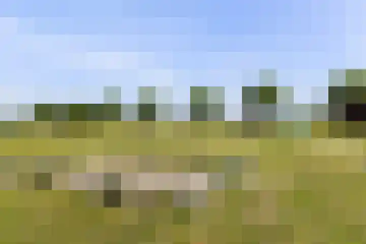 Staaldiep 4 Brielle thumbnail 62