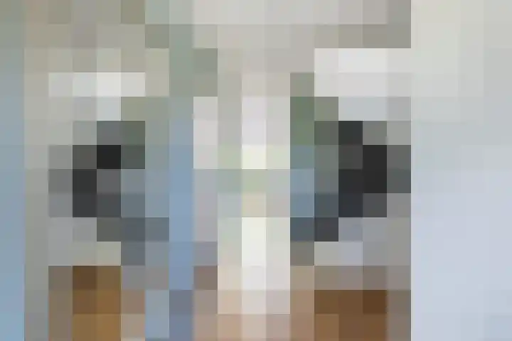 Staaldiep 4 Brielle thumbnail 7
