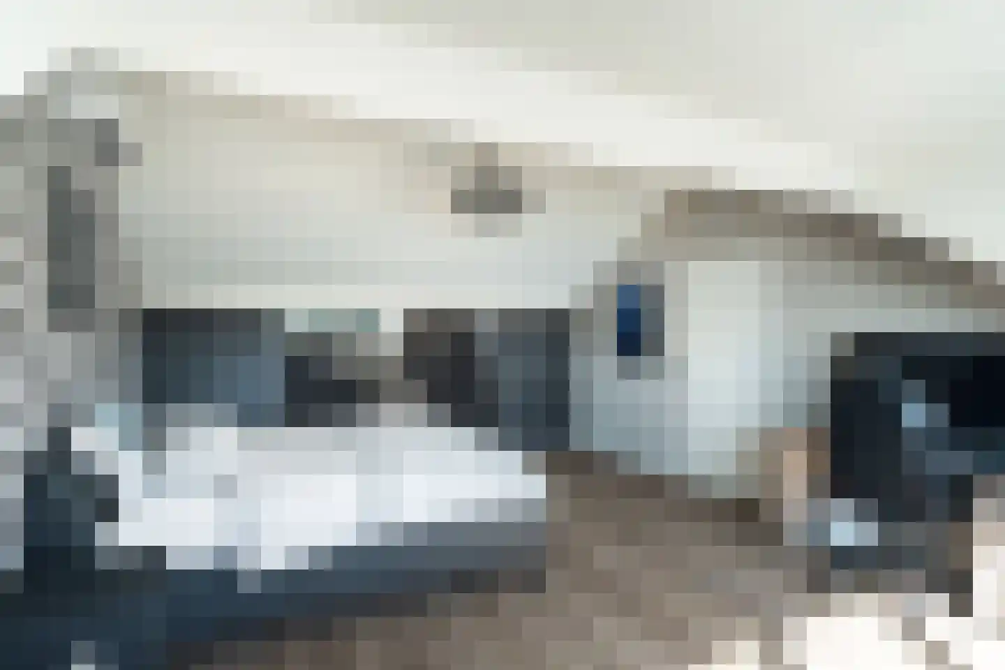 Staaldiepseweg 11 Brielle thumbnail 31