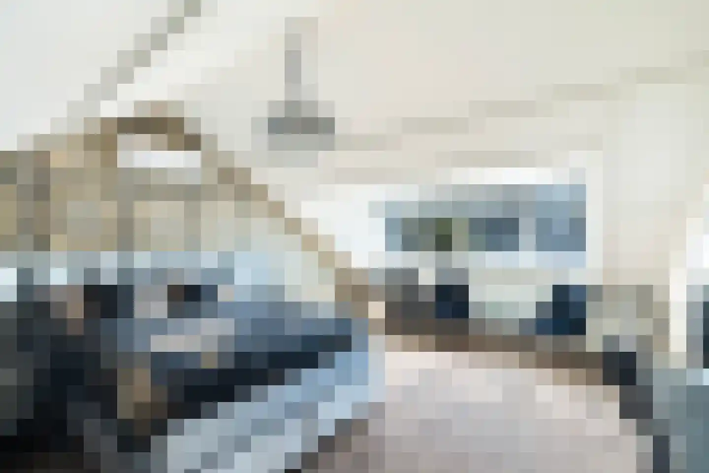 Staaldiepseweg 11 Brielle thumbnail 33