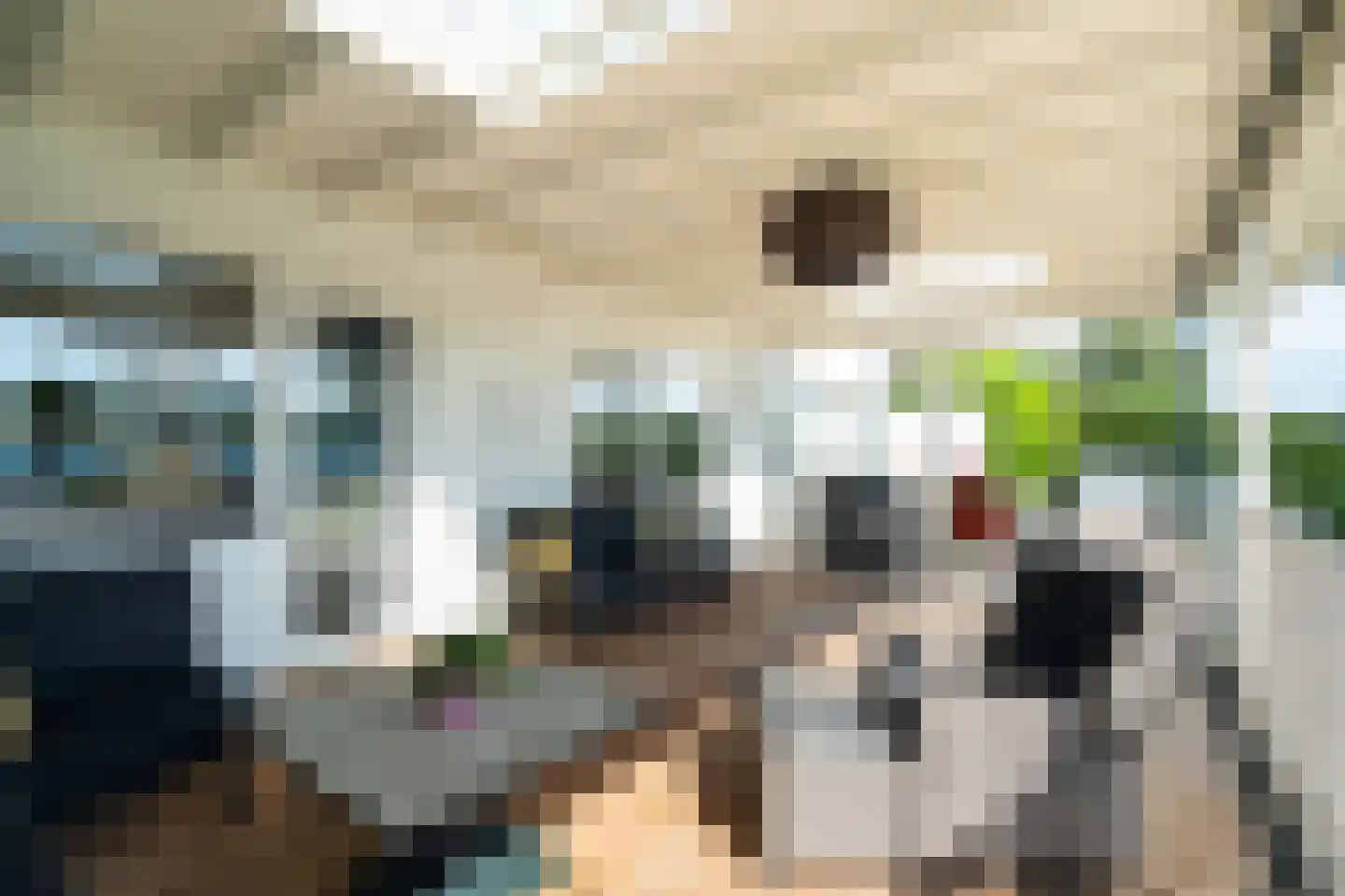 Staaldiepseweg 11 Brielle thumbnail 48