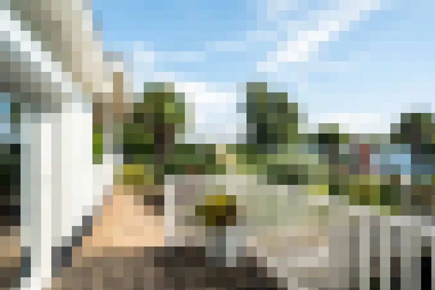 Staaldiepseweg 11 Brielle thumbnail 49