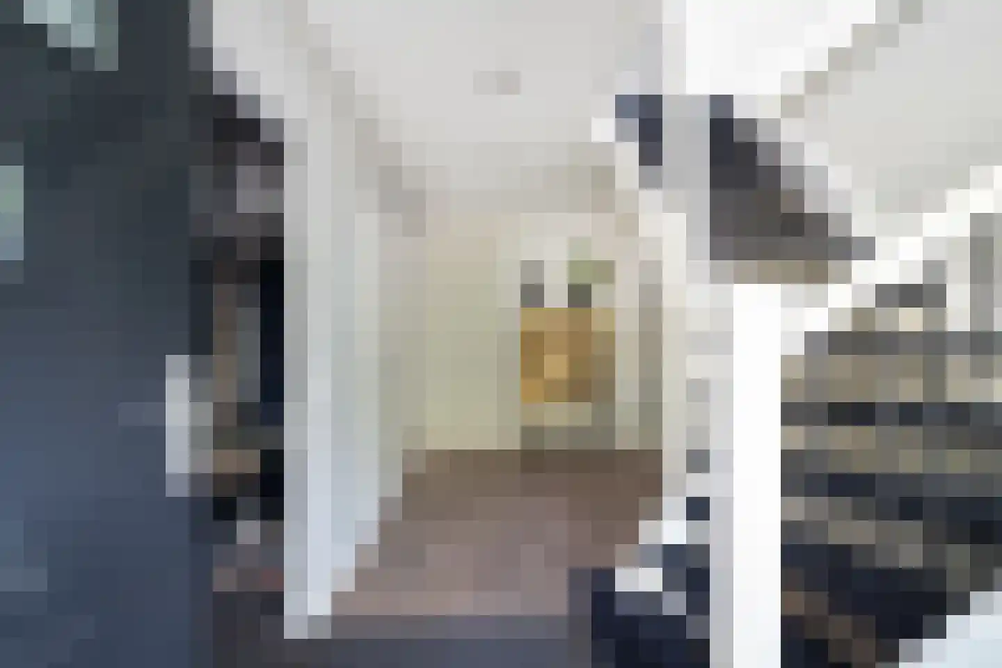 Staaldiepseweg 11 Brielle thumbnail 6
