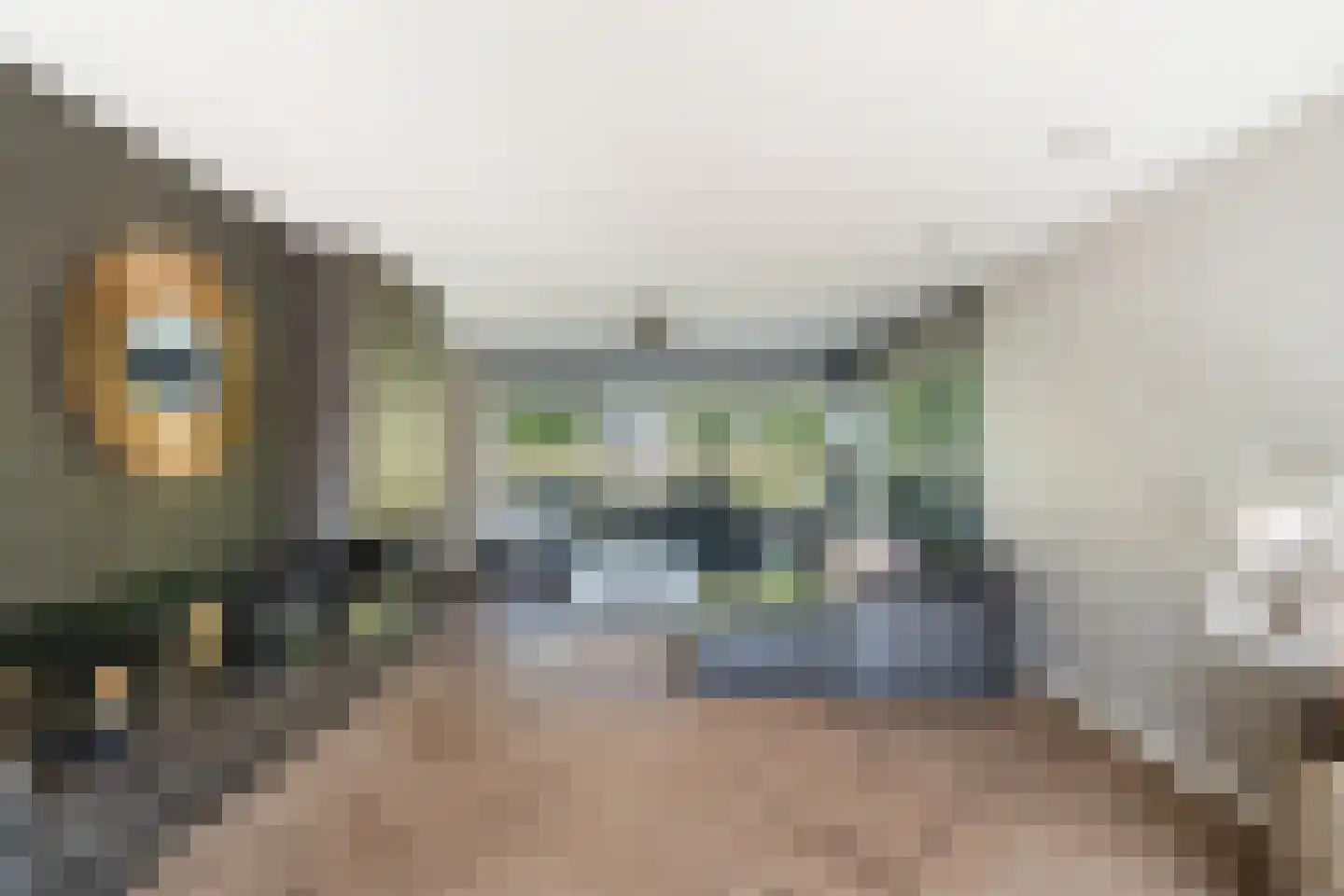 Staaldiepseweg 11 Brielle thumbnail 8