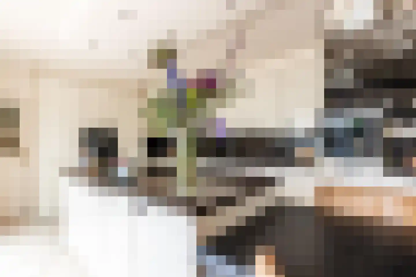 Staaldiepseweg 7 Brielle thumbnail 10