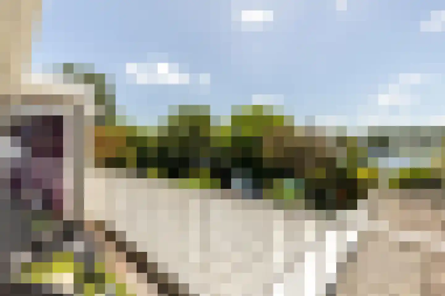 Staaldiepseweg 7 Brielle thumbnail 24