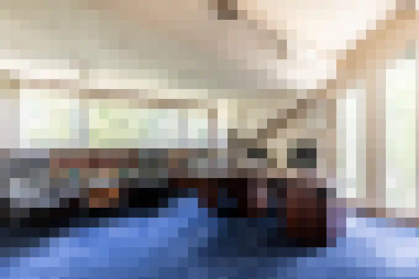 Staaldiepseweg 7 Brielle thumbnail 30