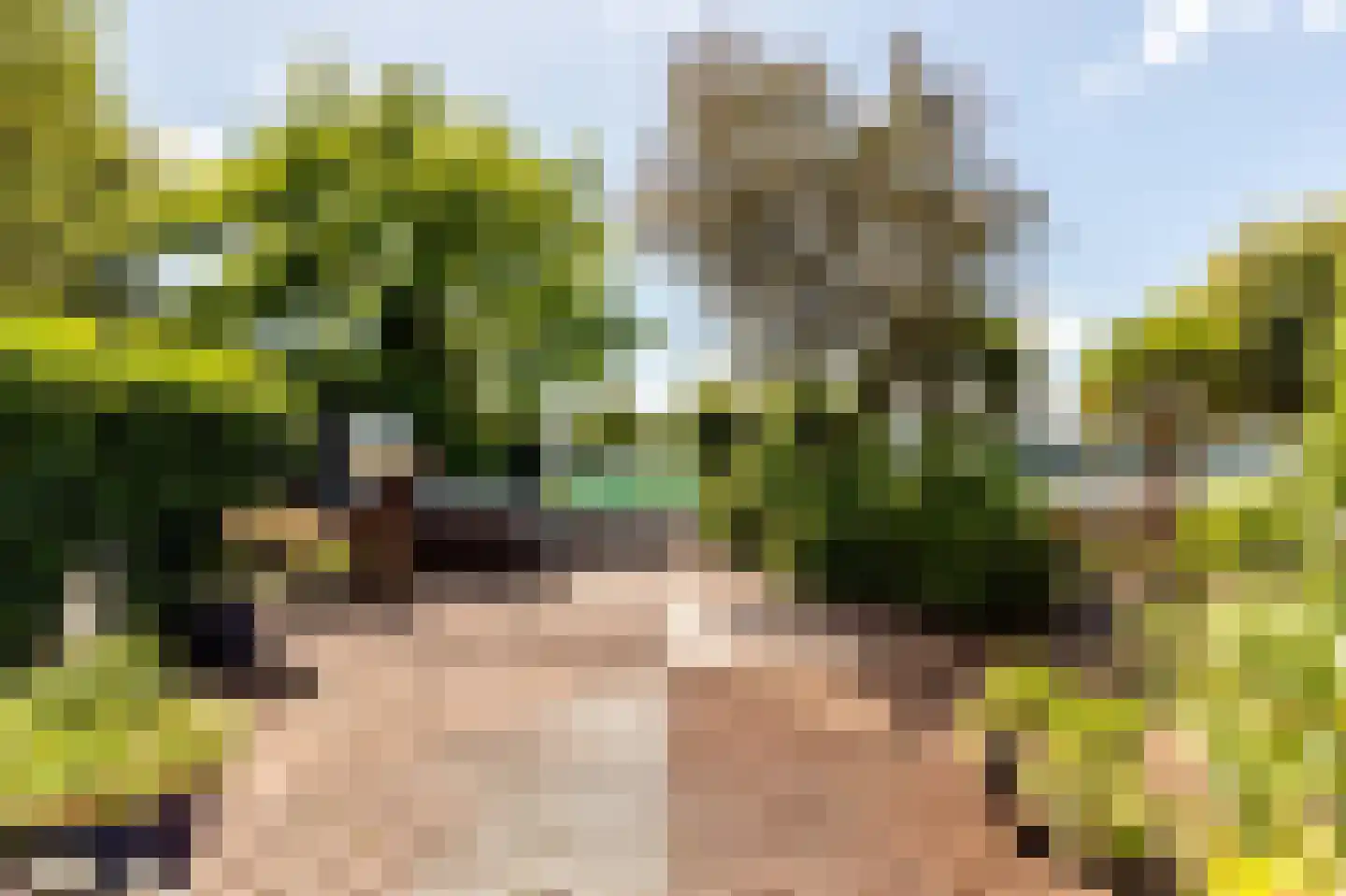 Staaldiepseweg 7 Brielle thumbnail 36