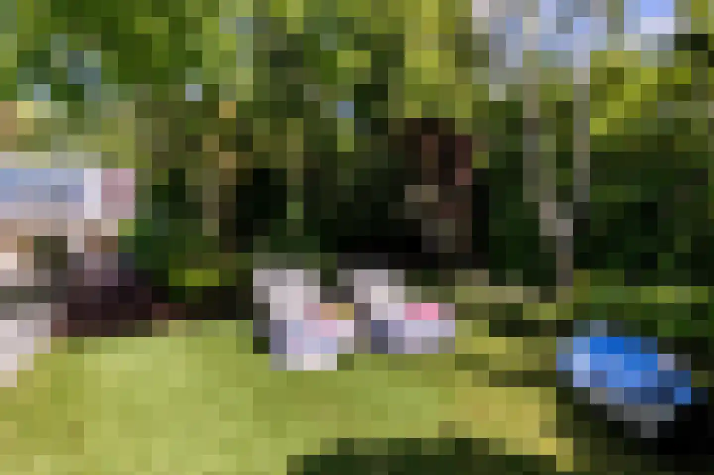Staaldiepseweg 7 Brielle thumbnail 38