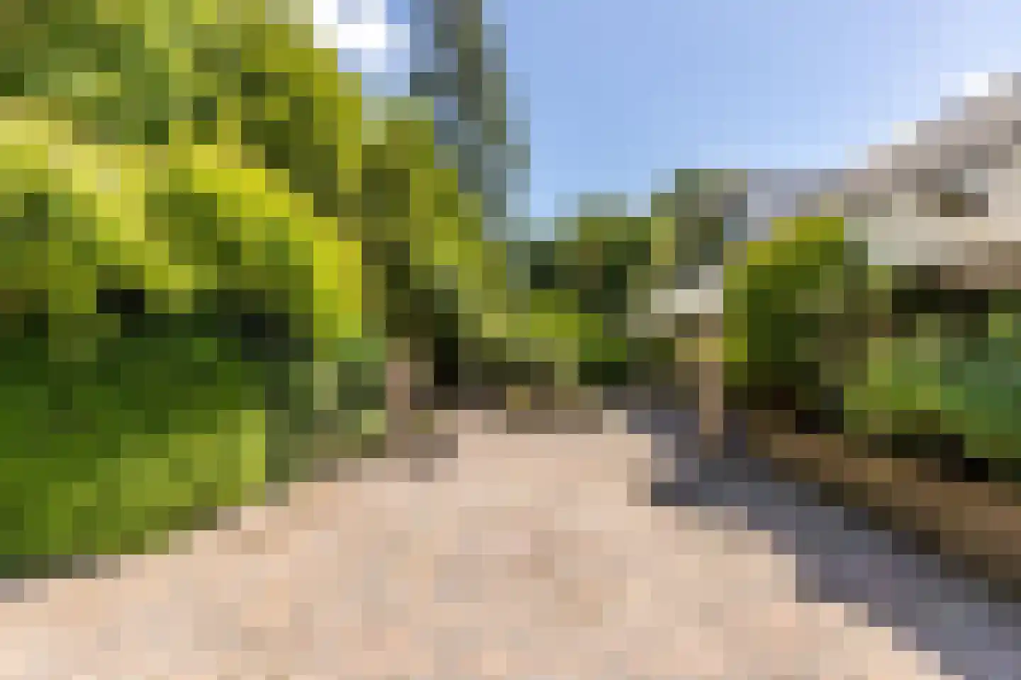 Staaldiepseweg 7 Brielle thumbnail 4