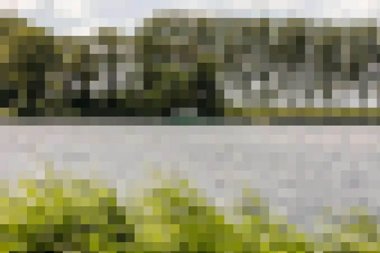 Staaldiepseweg 7 Brielle thumbnail 44