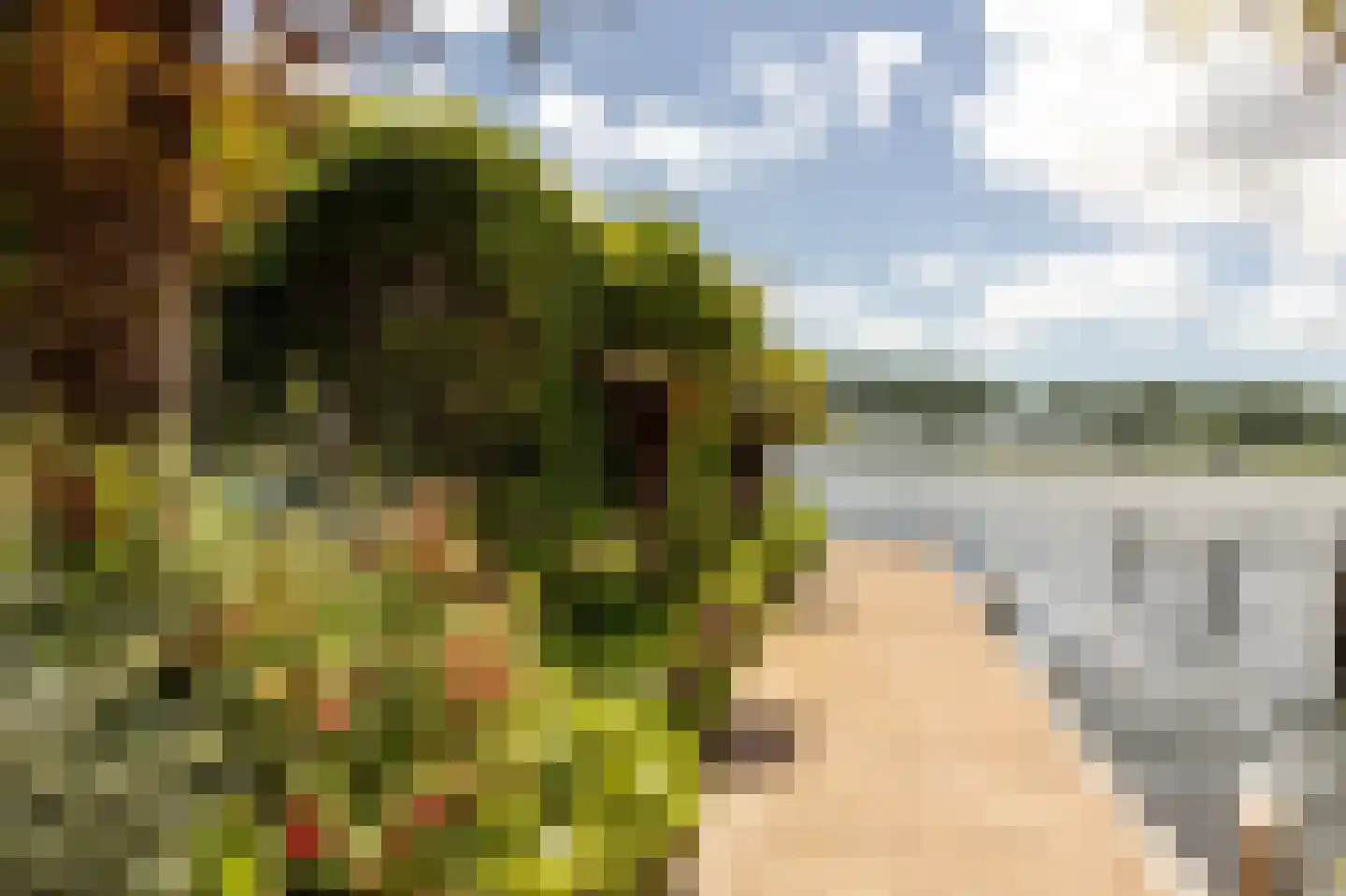 Staaldiepseweg 7 Brielle thumbnail 48