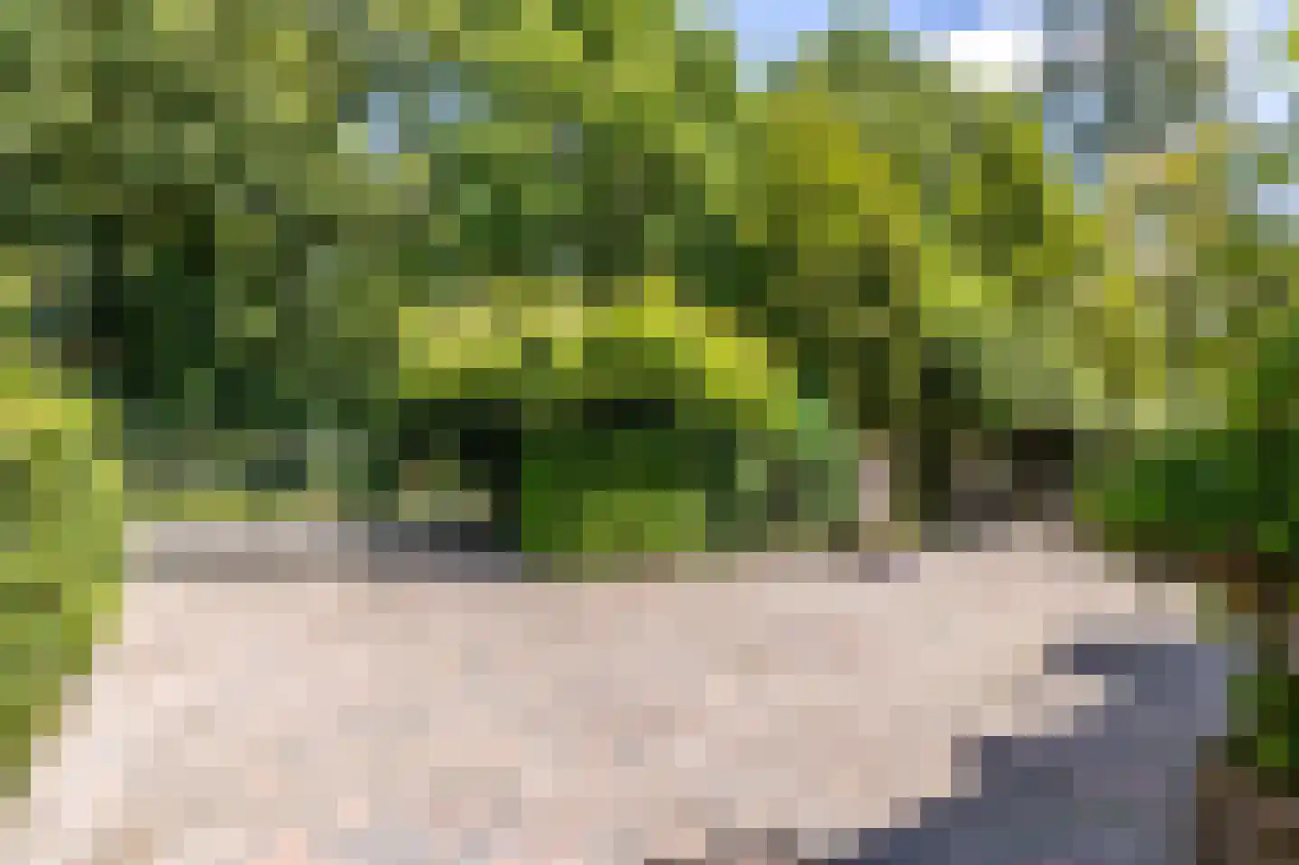 Staaldiepseweg 7 Brielle thumbnail 5