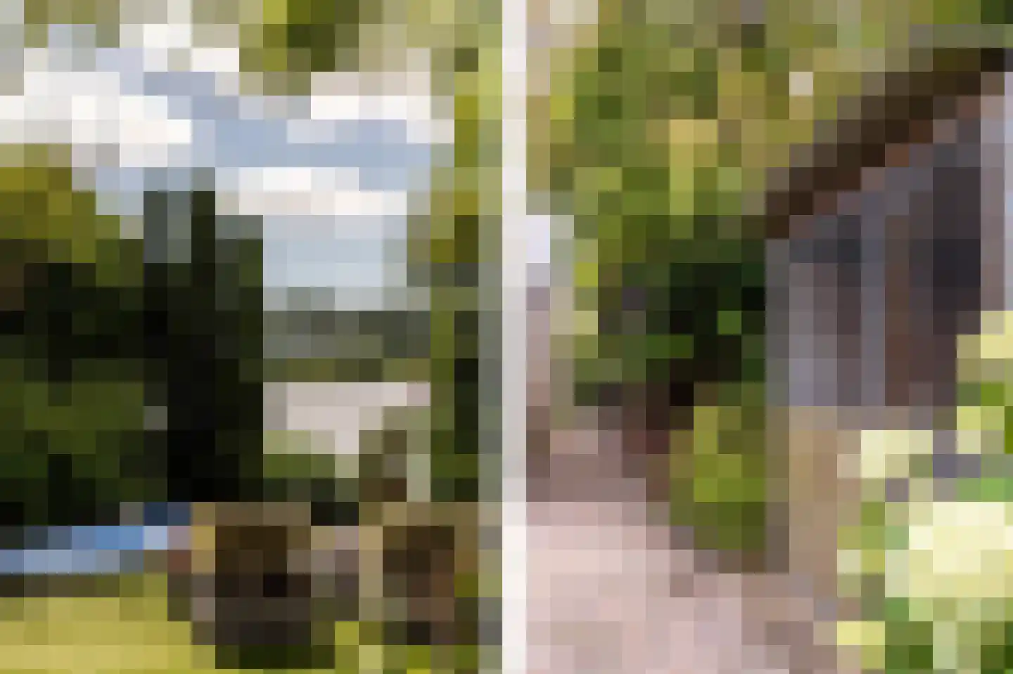 Staaldiepseweg 7 Brielle thumbnail 56