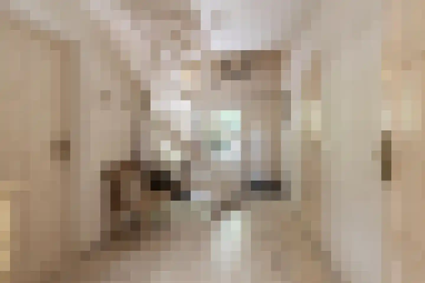 Staaldiepseweg 7 Brielle thumbnail 6