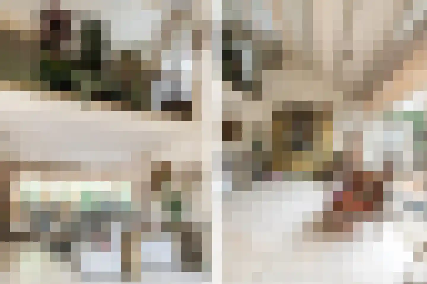 Staaldiepseweg 7 Brielle thumbnail 67