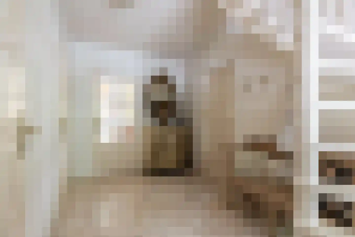 Staaldiepseweg 7 Brielle thumbnail 7