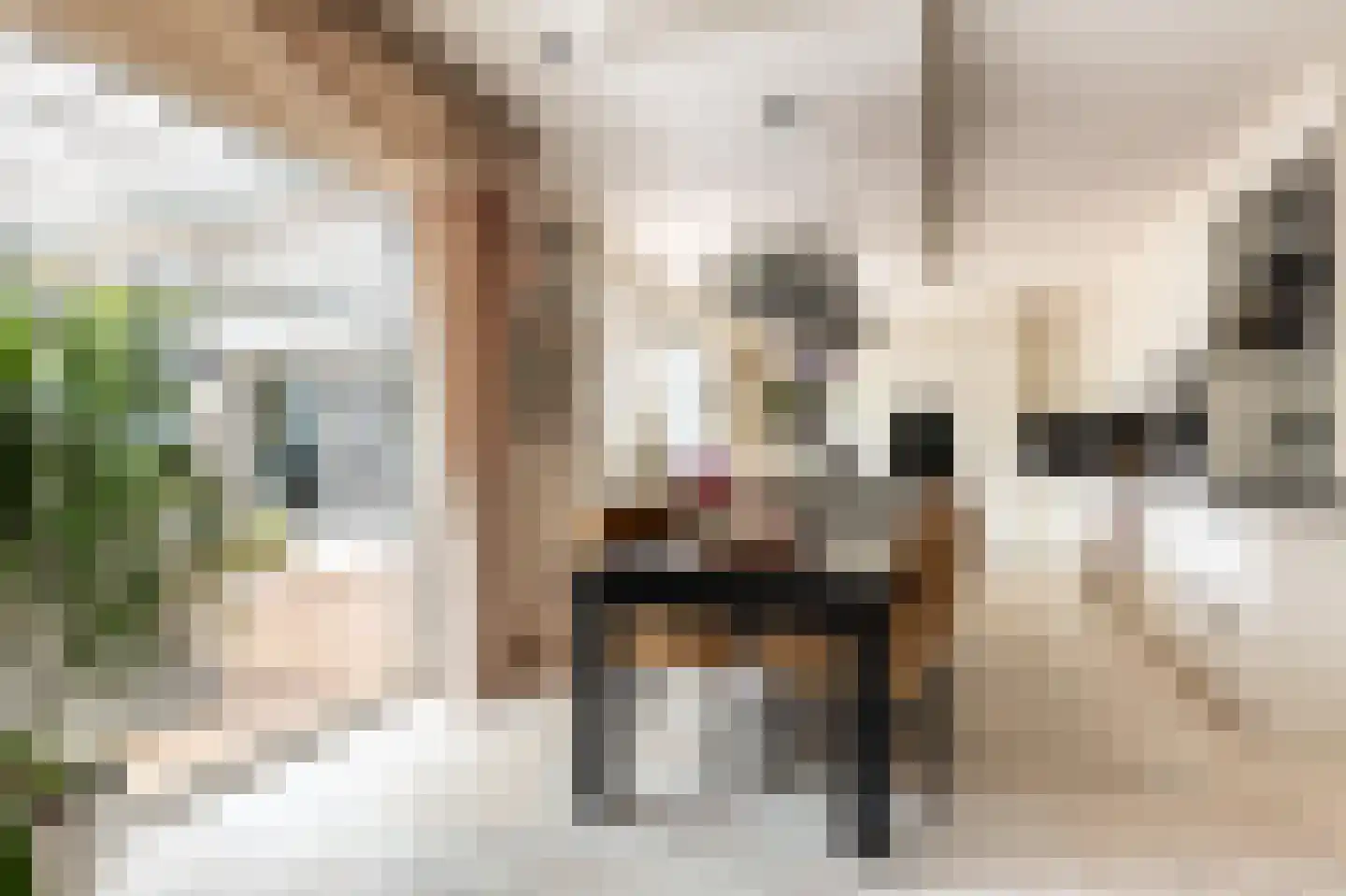 Staaldiepseweg 7 Brielle thumbnail 9