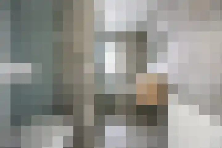 Staalmijn 16 Waalwijk thumbnail 19