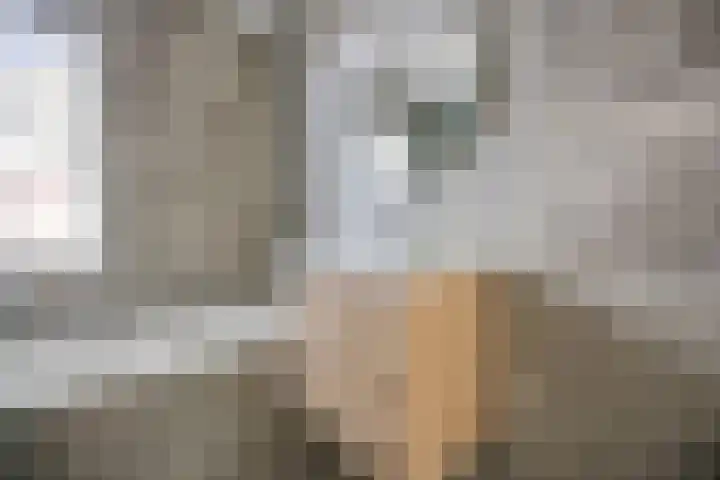 Staalmijn 16 Waalwijk thumbnail 21