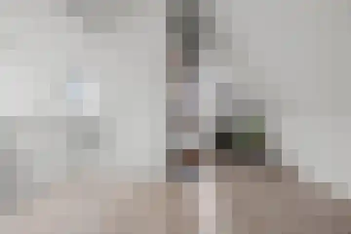 Staalmijn 16 Waalwijk thumbnail 25