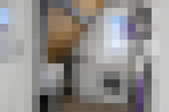 Staalmijn 16 Waalwijk thumbnail 28
