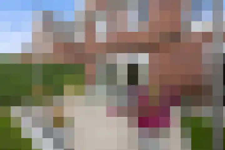 Staalmijn 16 Waalwijk thumbnail 30