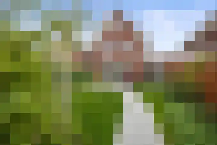 Staalmijn 16 Waalwijk thumbnail 31