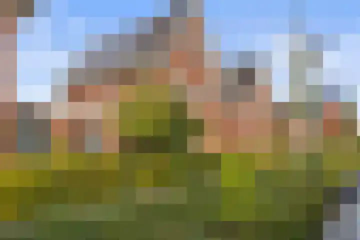 Staalmijn 16 Waalwijk thumbnail 36
