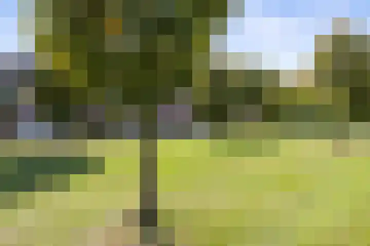 Staalmijn 16 Waalwijk thumbnail 38