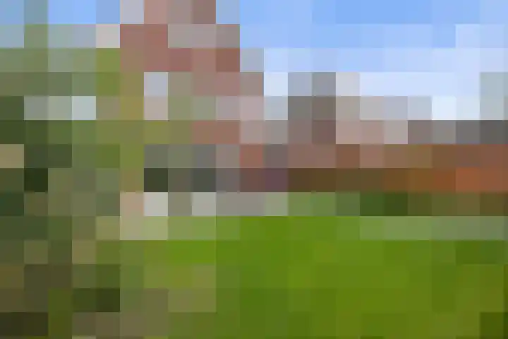 Staalmijn 16 Waalwijk thumbnail 4