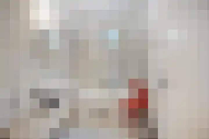 Staalstraat 13 Oss thumbnail 18