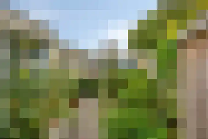 Staalstraat 13 Oss thumbnail 24