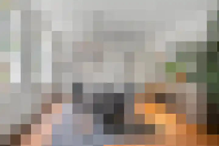 Staalstraat 13 Oss thumbnail 7