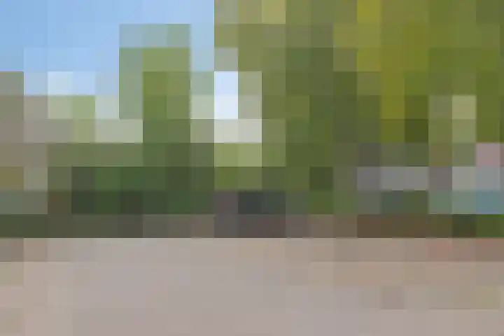 Staalstraat 140 Emmeloord thumbnail 37