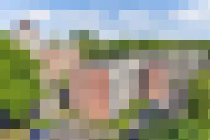 Staalstraat 150 Emmeloord thumbnail 6